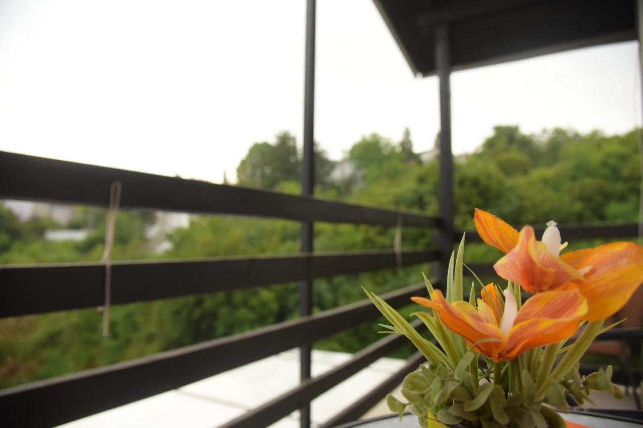 סטאר דויירן Apartments Villa Naumovi מראה חיצוני תמונה