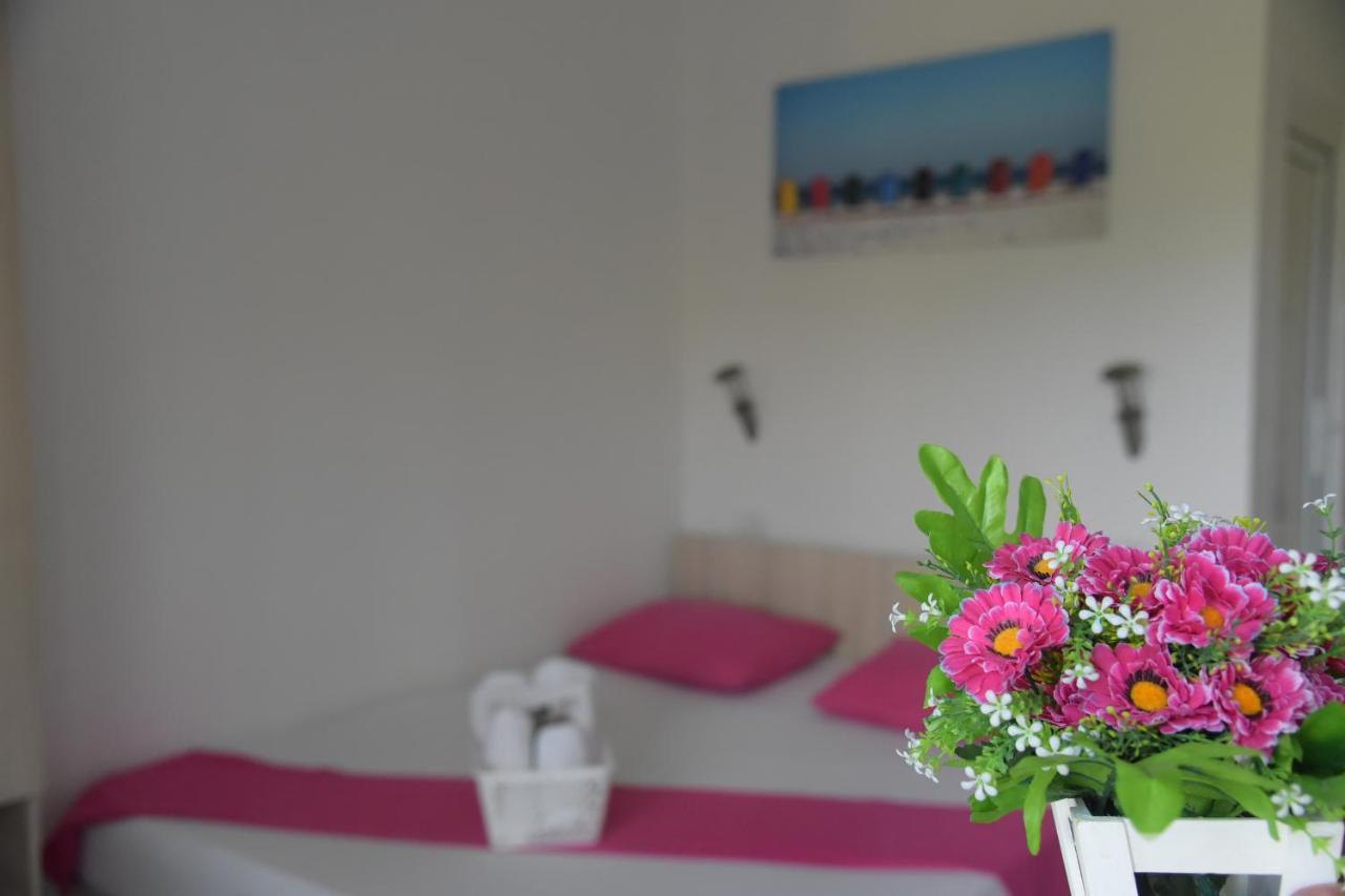 סטאר דויירן Apartments Villa Naumovi מראה חיצוני תמונה